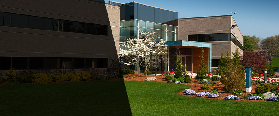 Emporium Landscapers