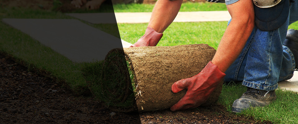 Emporium Landscapers